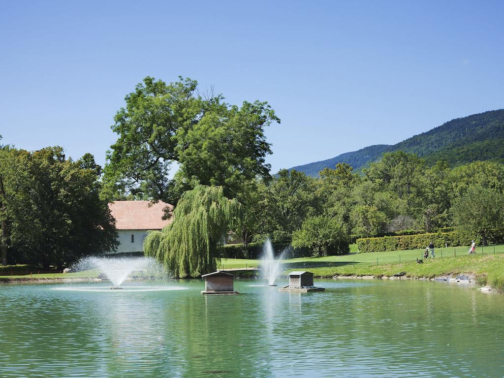 Chateau De Bonmont Cheserex Kültér fotó